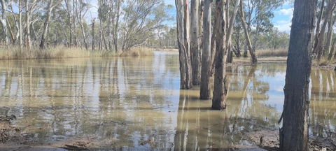 Riversands Rest Accommodation Paringa - River Box Cottage - Accommodation Cooktown 3