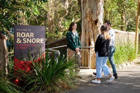 Roar And Snore - Accommodation Cooktown 1