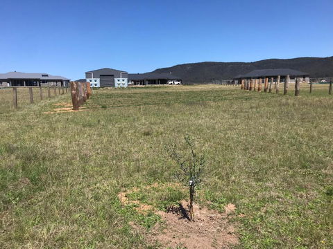 Rosehill Vines - Accommodation Cooktown 3