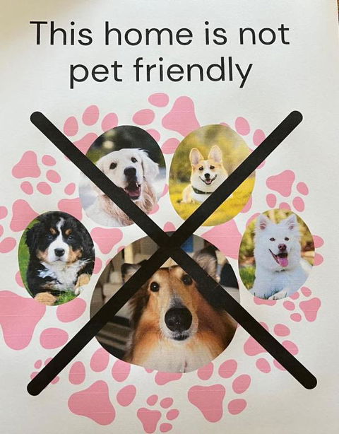 Saltwater Bungalow - WiFi - Accommodation Cooktown 1