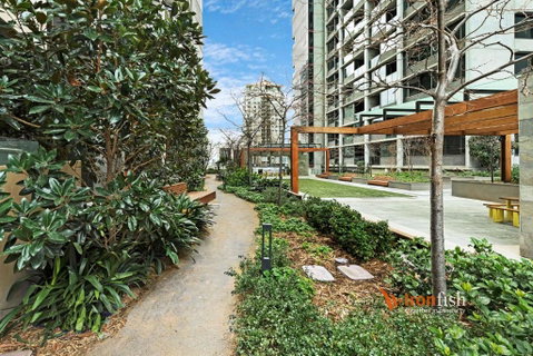 Sakura Apartment - Accommodation Cooktown 3