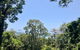 Sky: Rainforest And Ocean Views With Jacuzzi - thumb 2