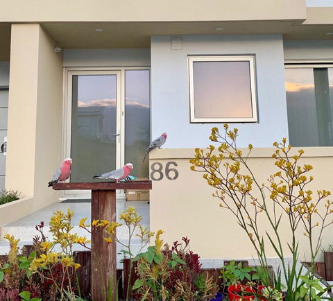 Sorrento Bluewater Apartment - Accommodation Cooktown 2