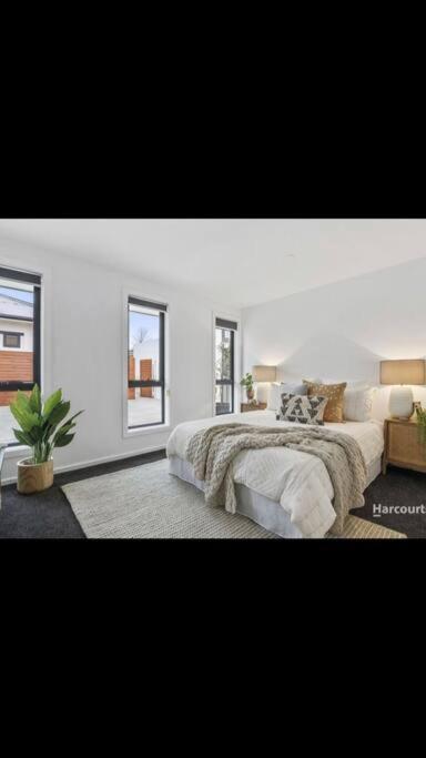 Spacious House Close To Hobart CBD WiFi And New Sony QLED Smart TV - Accommodation Cooktown 2