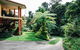 Studio In The Rainforest - thumb 0