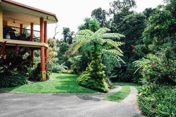 Studio In The Rainforest with Accommodation Cooktown