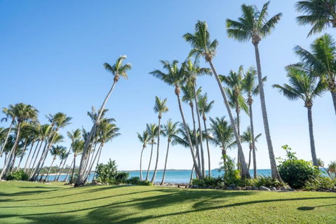 The Bohemian On The Beach - Accommodation Cooktown 3