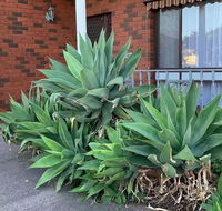 Beautiful Bedroom in Bentleigh East - Accommodation Cooktown