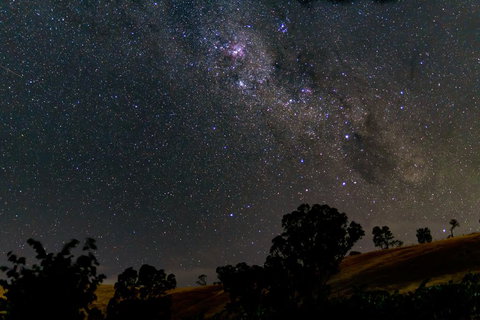 Blickinstal Barossa Valley Retreat - Accommodation Cooktown 1
