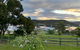 Blossoms On The Bay - Nubeena - thumb 0