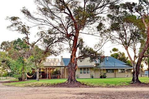The Jetty House - Lake Frontage Barmera Riverland - Accommodation Cooktown 0