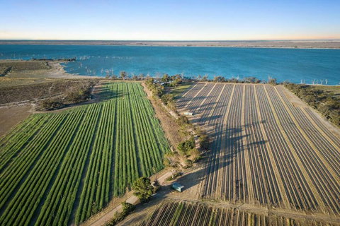 The Jetty House - Lake Frontage Barmera Riverland - Accommodation Cooktown 1