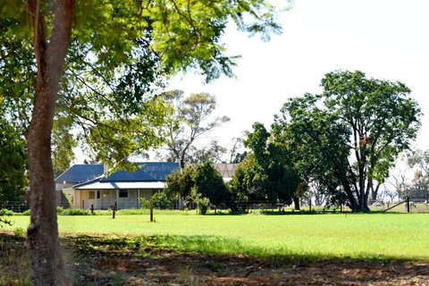 The Jetty Hut - Lake Frontage Barmera Riverland - Accommodation Cooktown 2
