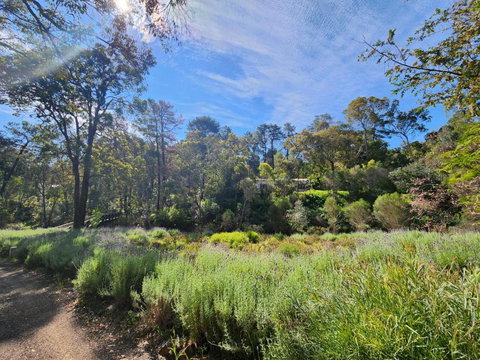 The Lavender Patch - Accommodation Cooktown 2