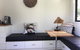 Tiny House - thumb 1