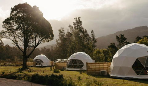 Wilder Tasmania - Accommodation Cooktown 1