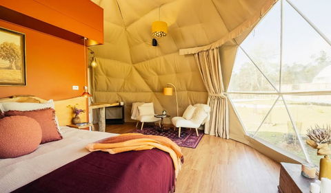 Wilder Tasmania - Accommodation Cooktown 3