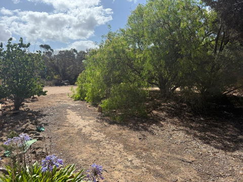 Woody House - Accommodation Cooktown 2