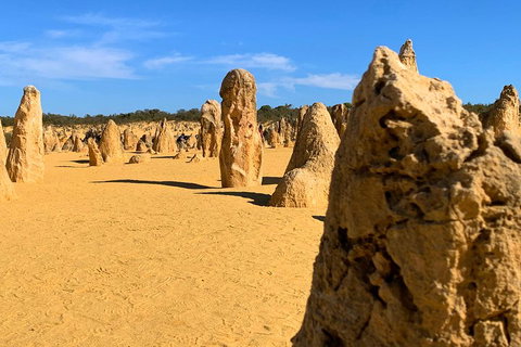 Pinnacles Desert (Private) Day Tour - Accommodation Cooktown 0