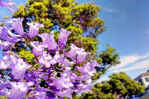 Big Perth (Private) Day Tour - Accommodation Cooktown 3