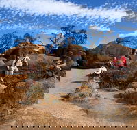 The Big Wave Rock Private Day Tour - Accommodation Cooktown