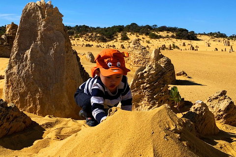Perth Kids Explorer (Private) Day Tour - Accommodation Cooktown 3