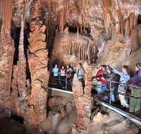 Private Tour Jenolan Caves  Blue Mountains in a day - Accommodation Cooktown
