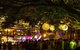 Private Tour: Sydney At Night - thumb 3