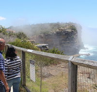 Sydney Shore Excursion Half-Day Sydney City Highlights with Bondi Beach and Watsons Bay - Accommodation Cooktown