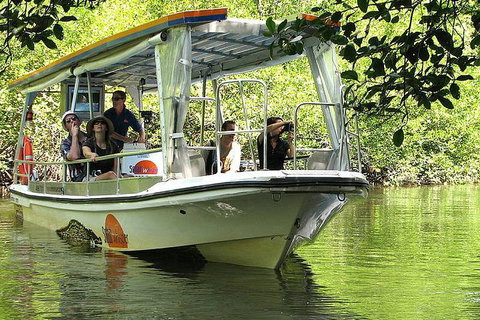 5-Day Best Of Cairns With Daintree, Kuranda, And Great Barrier Reef - Accommodation Cooktown 1