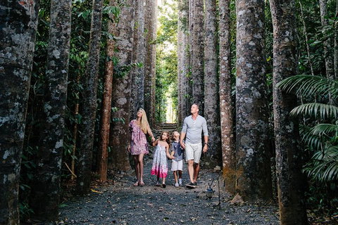 Paronella Park And Millaa Millaa Falls Full-day Tour From Cairns - Accommodation Cooktown 5