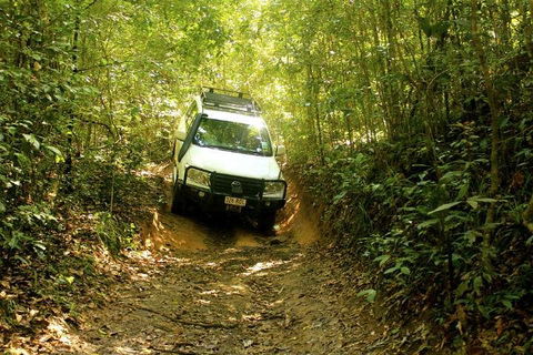 Barron Gorge And Kuranda National Park Half Day Rainforest And Waterfall 4WD Tour From Cairns - Accommodation Cooktown 2