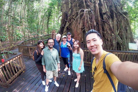 Barron Gorge And Kuranda National Park Half Day Rainforest And Waterfall 4WD Tour From Cairns - Accommodation Cooktown 5