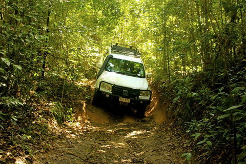 Cairns National Park Rainforest And Waterfall Small Group Tour Shore Excursion - Accommodation Cooktown 0