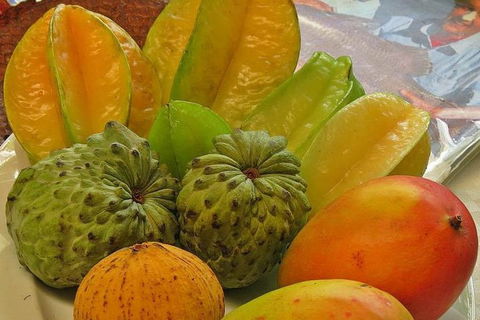 Cairns National Park Rainforest And Waterfall Small Group Tour Shore Excursion - Accommodation Cooktown 5