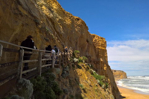Private Express Experience - 12 Apostles - Accommodation Cooktown 3