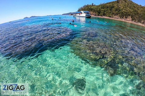 Whitehaven Beach Day Tour With Snorkel In Whitsundays Island - Accommodation Cooktown 5