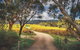 McLaren Vale Winery Small Group Tour With Wine Tasting And Lunch - thumb 1