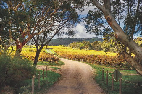 McLaren Vale Winery Small Group Tour With Wine Tasting And Lunch - Accommodation Cooktown 1