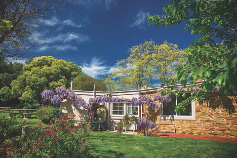 McLaren Vale Winery Small Group Tour With Wine Tasting And Lunch - Accommodation Cooktown 2