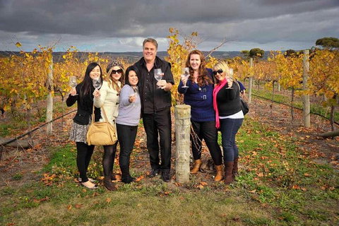 McLaren Vale Winery Small Group Tour With Wine Tasting And Lunch - Accommodation Cooktown 3