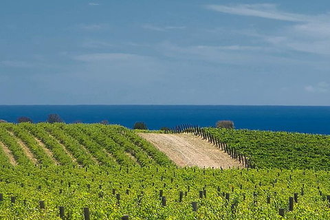 McLaren Vale Winery Small Group Tour With Wine Tasting And Lunch - Accommodation Cooktown 4