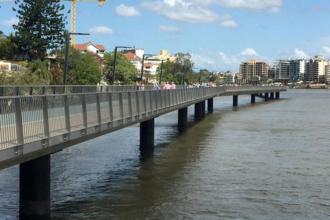 Brisbane City Highlights With Lone Pine! - Accommodation Cooktown 1