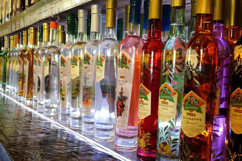 Bar & Brewery Tour - Accommodation Cooktown 4