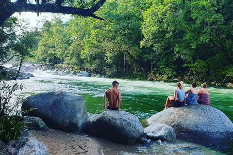 Afternoon Half-Day Daintree Rainforest And River Tour - Accommodation Cooktown 0