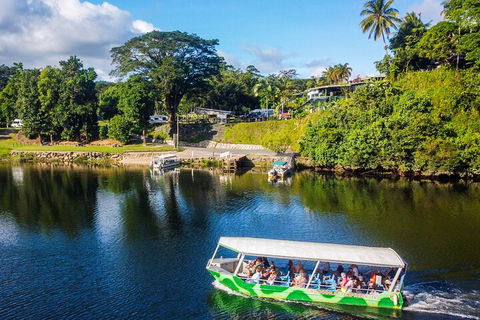 Afternoon Half-Day Daintree Rainforest And River Tour - Accommodation Cooktown 1