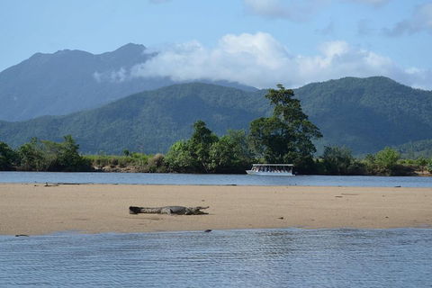 Afternoon Half-Day Daintree Rainforest And River Tour - Accommodation Cooktown 2