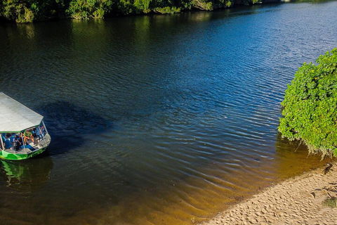 Afternoon Half-Day Daintree Rainforest And River Tour - Accommodation Cooktown 3
