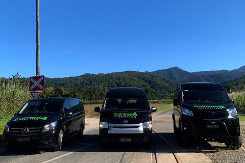 Afternoon Half-Day Daintree Rainforest And River Tour - Accommodation Cooktown 4