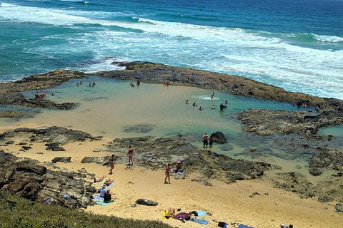 Pippies 3 Days 2 Nights Fraser Island Tour - Accommodation Cooktown 5